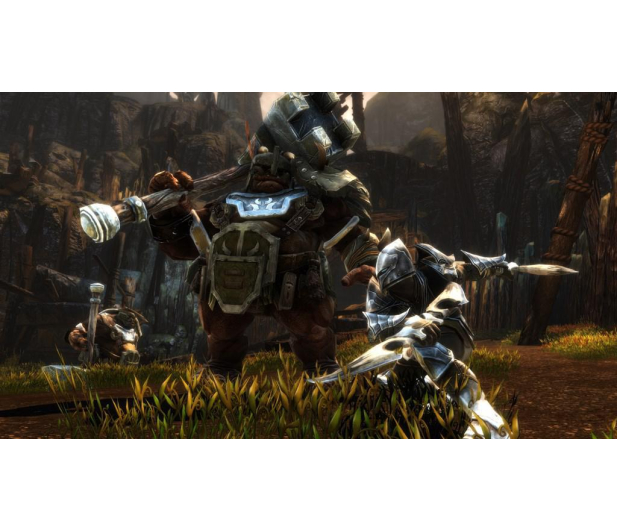 Kingdoms of Amalur - Reckoning Definitive Ed. PS4 - 593648 - zdjęcie 4
